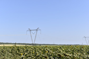 Similar image 21344066