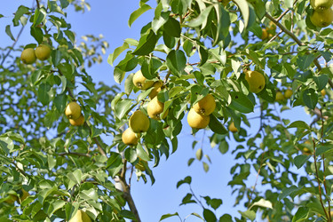 Similar image 21344068