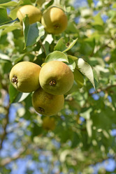 Similar image 21344070