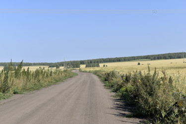 Similar image 21344071