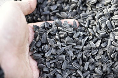 Similar image 21348490