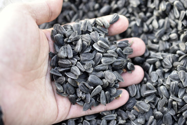 Similar image 21348491