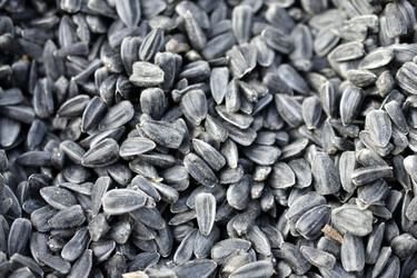 Similar image 21348492