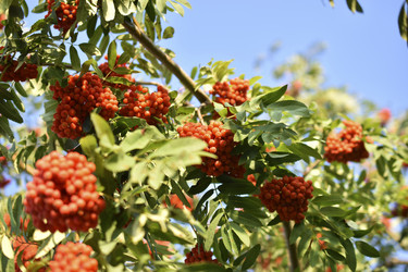 Similar image 21348493