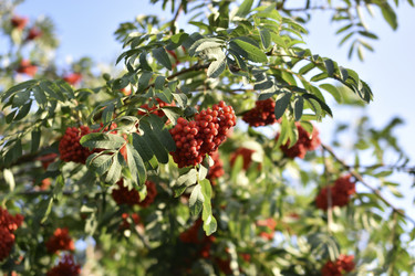 Similar image 21352358