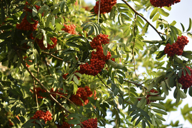 Similar image 21352359