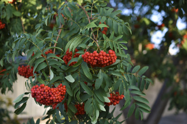 Similar image 21352361