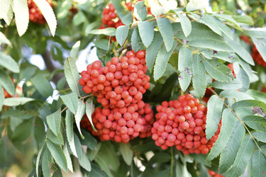 Similar image 21353316