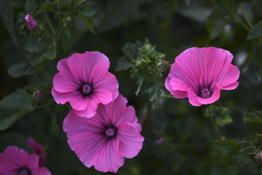 Similar image 21353386