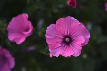 Similar image 21353387