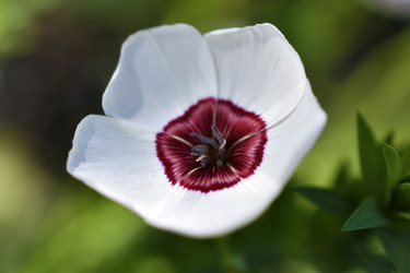 Similar image 21353388