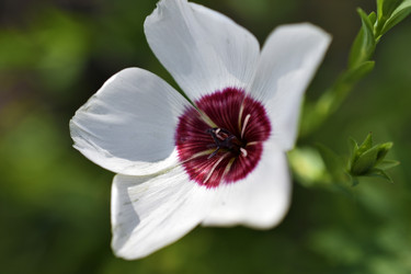 Similar image 21353389