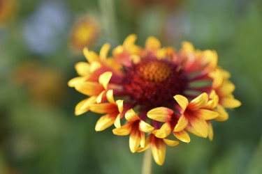 Similar image 21353390