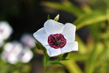 Similar image 21353391