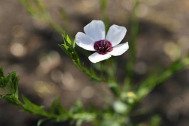 Similar image 21353392