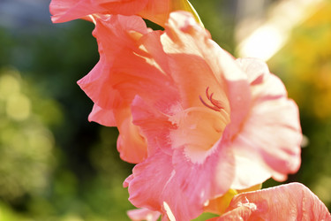 Similar image 21353393