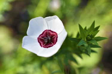 Similar image 21353394