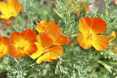 Similar image 21353395