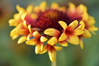 Similar image 21353396