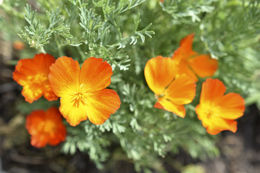 Similar image 21353397