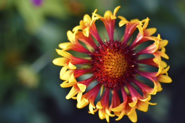 Similar image 21353399