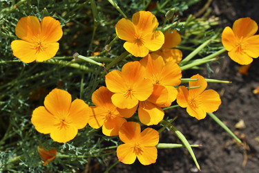 Similar image 21353400