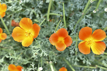 Similar image 21353401