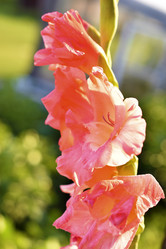 Similar image 21353402