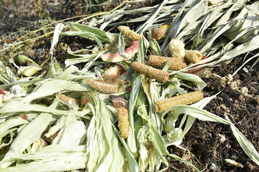 Similar image 21353403