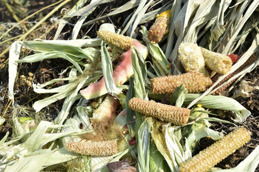 Similar image 21361707