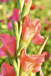 Similar image 21361708