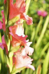 Similar image 21361710