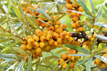 Similar image 21361712