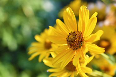 Similar image 21361714