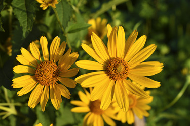 Similar image 21361716