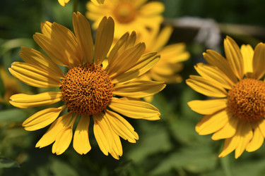 Similar image 21361717