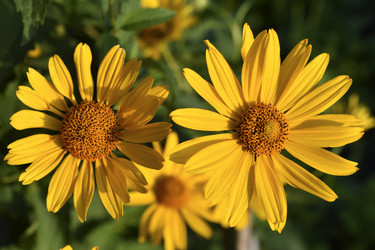 Similar image 21361719