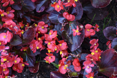 Similar image 21365882