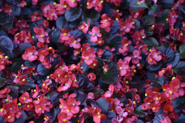 Similar image 21365883