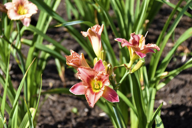 Similar image 21365884