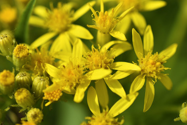 Similar image 21343450