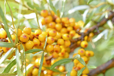 Similar image 21343451