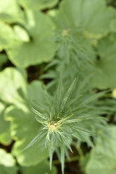 Similar image 21343452