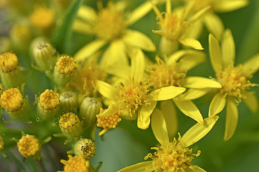 Similar image 21343453