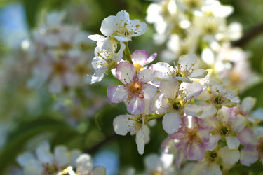 Similar image 21343456