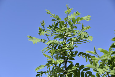 Similar image 21343457