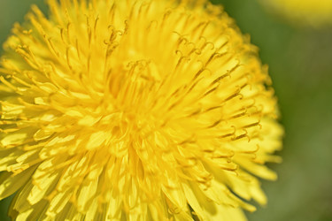 Similar image 21366129