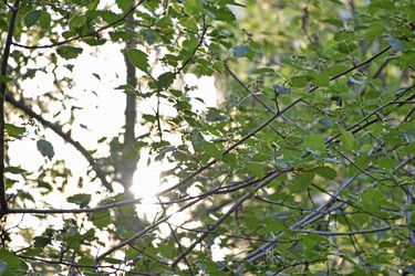 Similar image 21366271