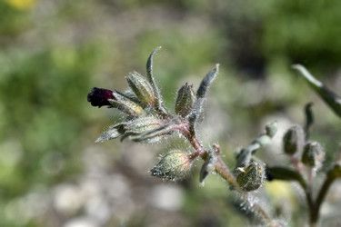 Similar image 21366275