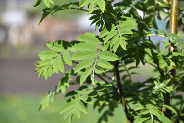 Similar image 21365886